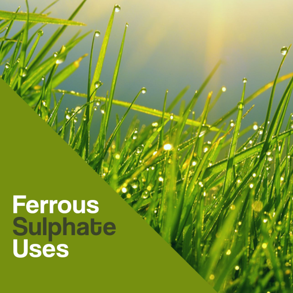 Ferrous-Sulphate-Uses.png